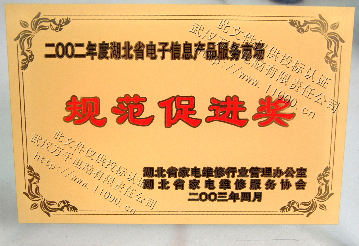 规范促进牌奖.jpg